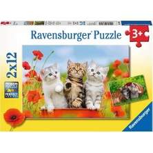 Nacario Ravensburger 2X12P Puz Yavru Kediler