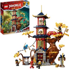 Nacario LEGO Nınjago Ejderha Enerji Küreleri 71795-8 Yaş ve Üzeri Çocuklar Için Bir Tapınak ve 6 Minifigür Içeren Yaratıcı Oyuncak Yapım Seti (1029 Parça)