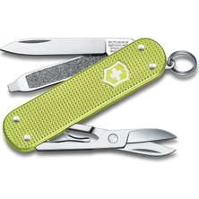 Nacario Victorinox Çakı Classic Tasty Grape Mor Kutuda