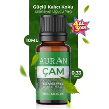 Nacario Auran Çam Esansiyel Uçucu Koku Yağı Ortam Kokusu Doğal Yağ Sihirli Küre Hobi Esansı 10ML