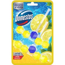 Nacario Domestos Tuvalet Bloğu Limon Bahçesi 100 G