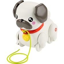 Nacario Fisher-Price Minik Dostumla Yürüyüş Sesli ve Hareketli Fisher-Price Fp Pets Yürüyüş Arkadaşı Köpekçik Çekçekli Bebek Oyuncağı HTW94