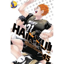 Nacario Haikyu!!, Vol. 45: Volume 45