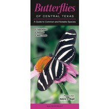 Nacario Butterflies Of Central Texas: A Guide To Common & Notable Species