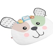 Nacario Fisher-Price Yenidoğanlar Için Karın Üstünde Oynama Oyuncağı, Sevimli Köpekçik Büyük Oyun Minderi ve Duyusal Gelişim Aktiviteleri, HYR51