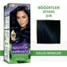TeknoKapsül Wella Koleston Naturals 2/8 Böğürtlen Siyah Saç Boyası