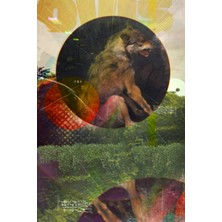 Nacario Independently Published Bona Ovis Journal & Sketchbook: Limited Edition