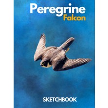 Nacario Peregrine Falcon : Sketchbook Large Hardcover Peregrine Falcon Sketchbook For Drawing 8.25 x 11 Inch 200 Pages Falconry Falcons Falconer Sketchbook: ... & Doodle For Falcons Raptors Lovers