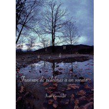 Nacario Trasvase De Palabras A Un Soneto (Spanish Edition)