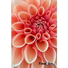Nacario Timeblox: Daily Schedule Planner & Organizer