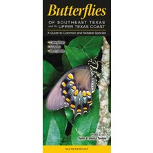 Nacario Butterflies Of Southeast Texas & The Upper Texas Coast: A Guide To Common & Notable Species (Quick Reference Guides)