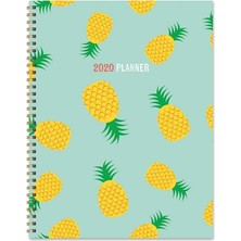 Nacario 2020 Pineapple Party Large Weekly Monthly Planner