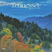 Nacario Tennessee Wild & Scenic 2025 12 x 24 Inch Monthly Square Wall Calendar Plastic-Free