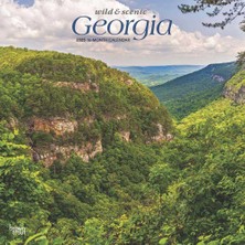 Nacario Georgia Wild & Scenic 2025 12 x 24 Inch Monthly Square Wall Calendar Plastic-Free