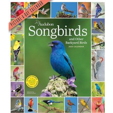 Nacario Audubon Songbirds And Other Backyard Birds Picture-A-Day Wall Calendar 2023