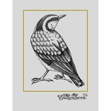 Nacario Sketchbook: Bird Sketch, Large 8.5" x 11", 110 Pages, Perfect For Everyone, Crayons, Pencils, Drawing And Sketching