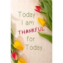 Nacario Independently Published Daily Gratitude Journal