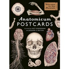 Nacario Anatomicum Postcard Box