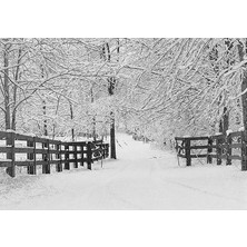 Nacario Winter Tracks Holiday Boxed Cards (Christmas Cards, Holiday Cards, Greeting Cards) (Small Holiday Card Series)