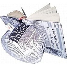 Nacario Almohadon De Lectura Periódico