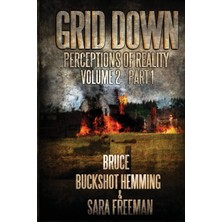 Nacario Grid Down Perceptions Of Reality Vol 2 Book 1: Vol 2 Book 1: Volume 2