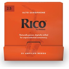 Nacario D'addario Alto Saksafon Kamış (RJA0125-B25)
