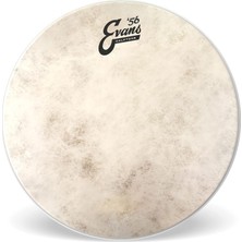 Nacario Evans TT16C7 16 Inc Tom Derisi
