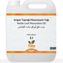 Nacario Tito Isırgan Yaprağı Maserasyon Yağı Urtica Dioica 5 Litre