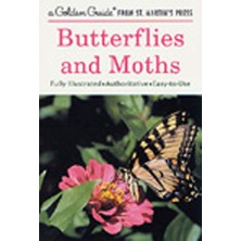 Nacario Butterflies And Moths: A Fully Illustrated, Authoritative And Easy-To-Use Guide