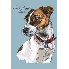 Nacario Jack Russell Terrier Notebook: Blank Lined Journal, Softcover (6x9 Inches) With 120 Pages