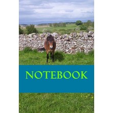 Nacario Notebook: Exmoor Pony Note Book