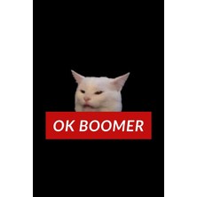Nacario Ok Boomer Smudge The Cat Notebook | Lined Notebook 6 x 9 Inches (15.24 x 22.86 Cm) | 120 Pages
