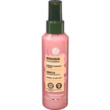 Nacario Yves Rocher Kolay Saç Tarama Spreyi Organik Kestane Sütü 150 ml