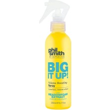Nacario Phil Smith Big It Up Volume Boosting Sprey