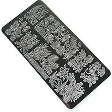 Nacario Nail Art Stamping Baskı Plakası VV28