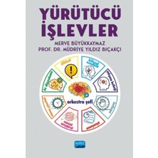 TeknoKapsül Nobel Akademik Yayıncılık Yürütücü Işlevler
