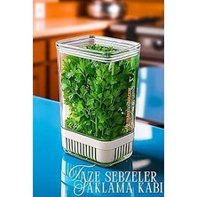 Nacario Transformacion Yeşillik Saklama Kabı 2900 ml - Taze Yeşillik Için Süzgeçli Saklama Kutusu, 7430000721957