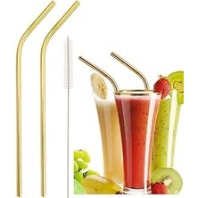 Nacario Gold 2 Li Paslanmaz Çelik Pipet + Temizleme Fırçası