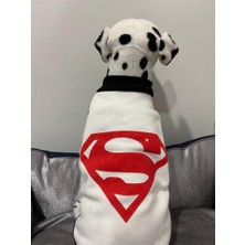 Nacario Yeni Sezon Köpek ve Kedi Kıyafeti & Elbisesi - Beyaz Süpermen S Beden