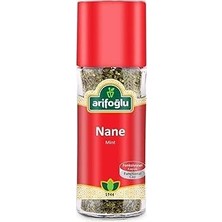 Nacario Arifoğlu Nane 20G Cam