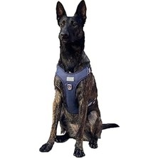 Nacario Cool Walk Premium Köpek Göğüs Tasması M