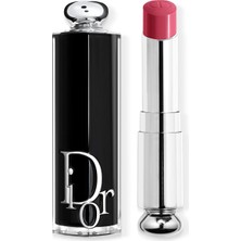 Nacario Dior Addict Lipstick - 481 Desir, D221DELETED1740143241