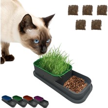Nacario Topraksız Kedi Çimi Kabı Yeşil – 5 Paket Çim Tohumlu Hidroponik Çim Yetiştirme Seti – Kediler Için Doğal Çim Yetiştirme Kutusu – Evde Kolay Çimlendirme ve Sindirim Desteği