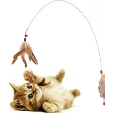 Nacario Kedi Oltası Oyun Çıngıraklı Renkli Boncuklu ve Tüylü Kedi Oyun Oltası, 90 cm Uzunluk, Interaktif ve Eğlenceli Kedi Oyuncak, Uzun ve Esnek Sap, Çok Yönlü Evcil Hayvan Eğlence Aracı