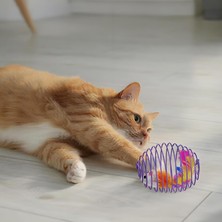 Nacario Bakgelal Kedi Oyuncağı Spiral Tel Top & Içinde Peluş Fare – Hareketli Zıplayan Kedi Topu, Avcılık Içgüdüsünü Geliştirir, Dayanıklı Metal Yay Top, Kediler Için Etkileşimli Eğlence Oyuncağı