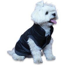 Nacario Oli And Lui Siyah Su Geçirmez Kapitone Köpek Montu – Gezdirme Halkalı (Siyah, Medium)