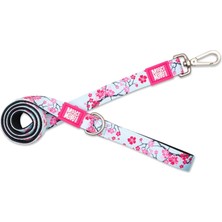 Nacario Max & Molly Tasma - Cherry Bloom, S
