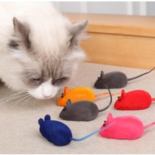 Nacario Tineke 4 Adet Kedi Eğitim Oyun Faresi Sesli