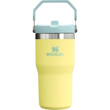Nacario Stanley Buz Akışı Go 600ML/20OZ Flip Straw Wtr Btl Pomelo