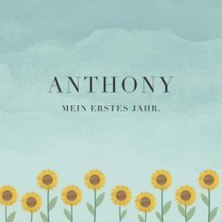 Nacario Anthony Mein Erstes Jahr: Baby Tagebuch I Babyalbum I Erinnerungsalbum I Eintragealbum I Kinderbuch I Babybuch I Perfektes Babyshower Oder Babyparty Geschenk Für Die Geburt Von Anthony